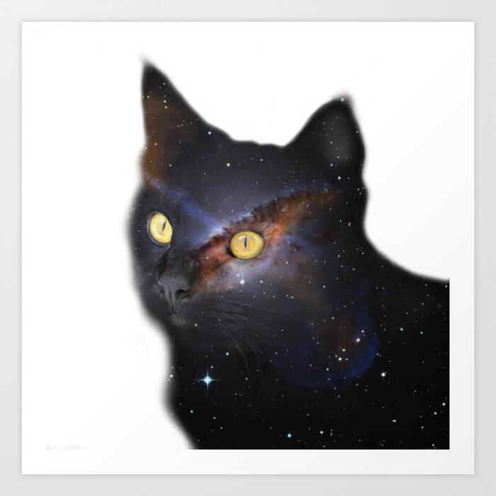 space-cat1008511-prints